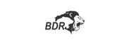 Aventus Labs BDR
